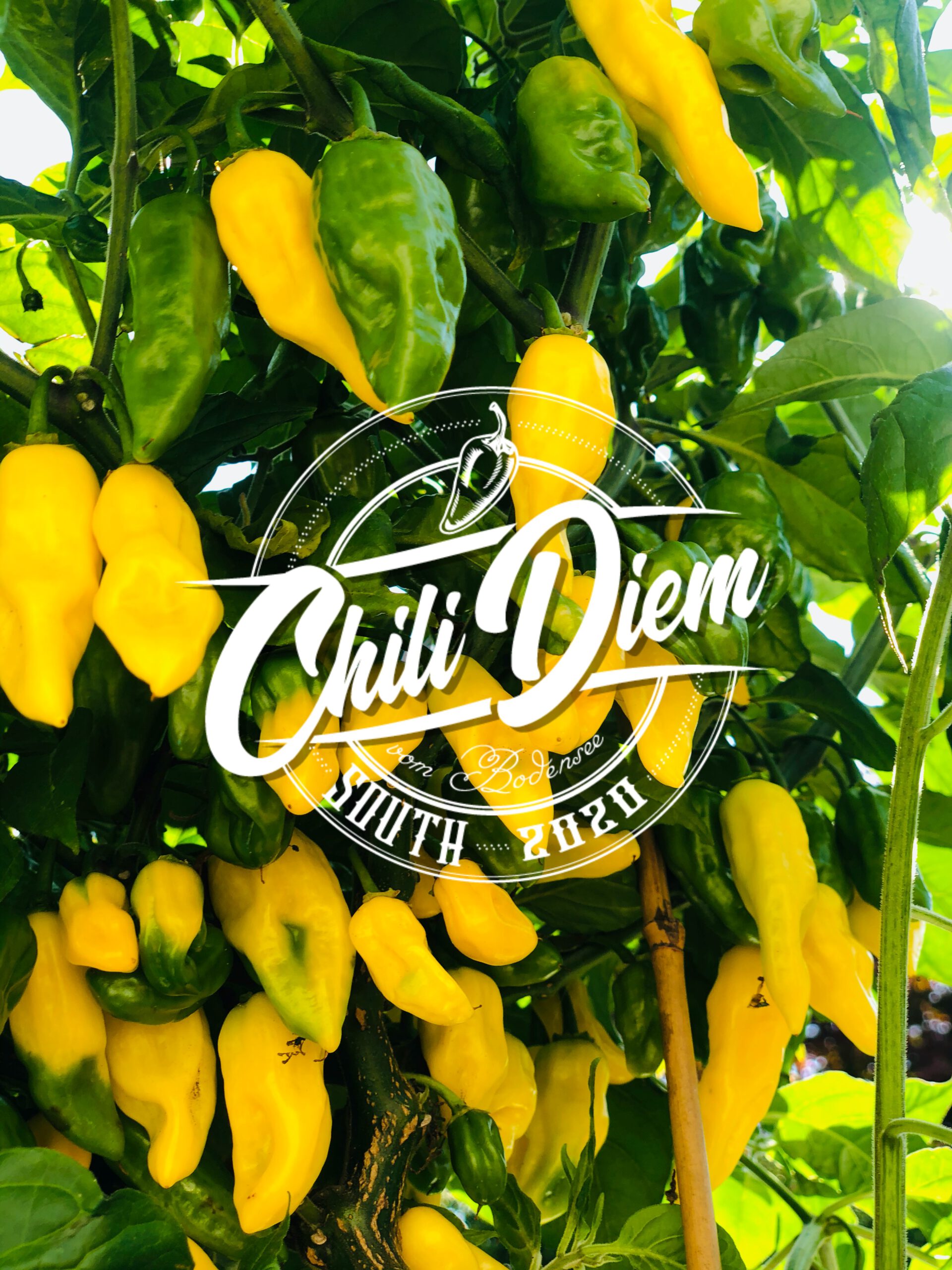 50155248-DD97-41E6-8165-6E0F784B15A3