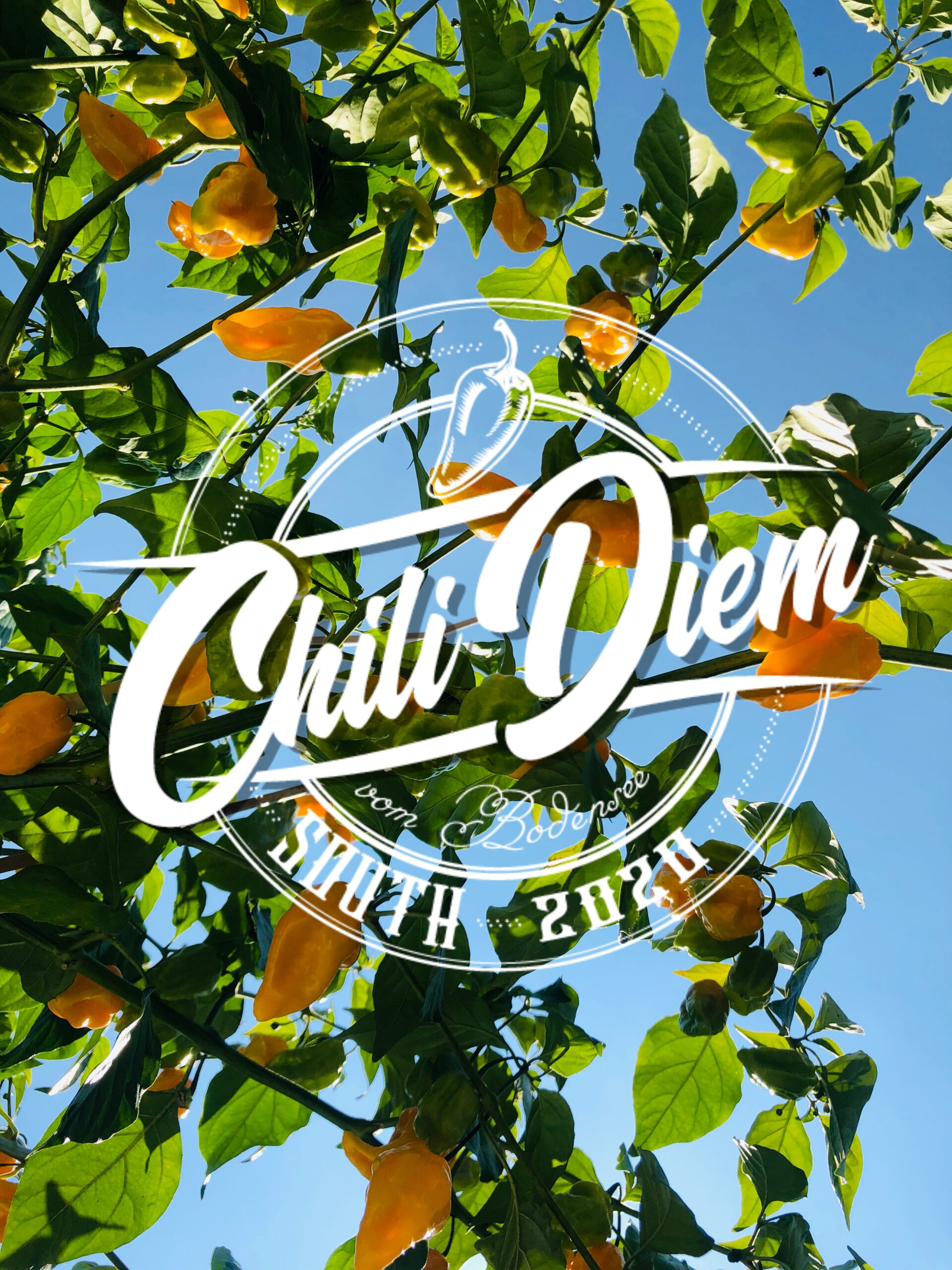 C1750F3E-9DD6-4E0E-987F-9AAAEDC20E9E