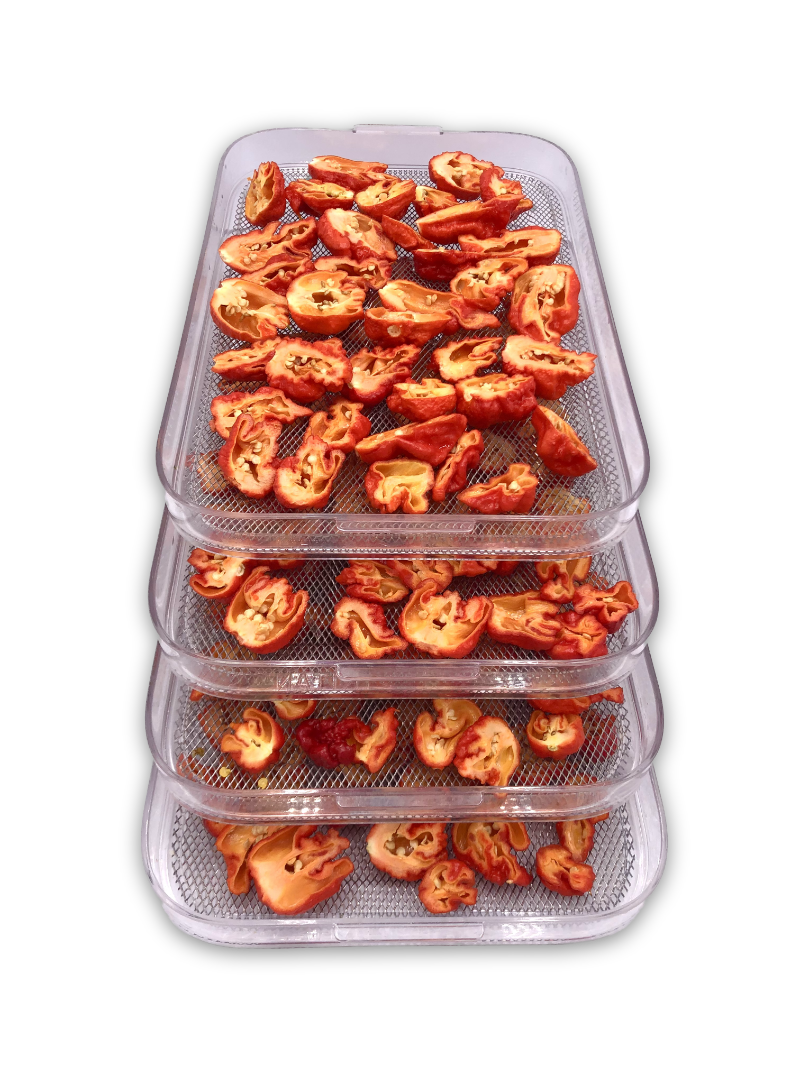 Dörrautomat freigestellt